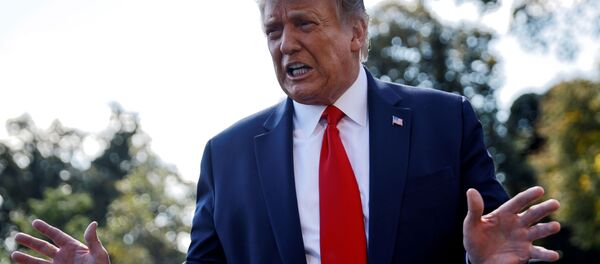 Президент США Дональд Трамп во время беседы с журналистами в Вашингтоне  - 俄羅斯衛星通訊社