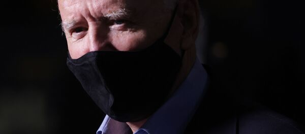 Кандидат в президенты США Джо Байден - 俄罗斯卫星通讯社