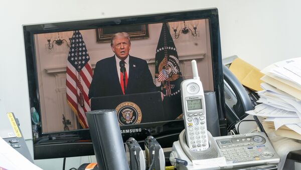 Президент США Дональд Трамп во время выступления на виртуальной сессии ООН - 俄罗斯卫星通讯社