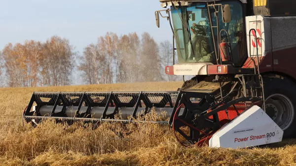 俄罗斯在今年1月-2月成为中国最大的燕麦供应国 - 俄罗斯卫星通讯社