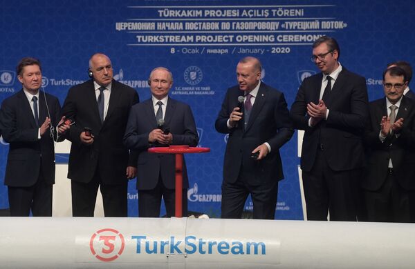 俄羅斯總統弗拉基米爾•普京和土耳其總統雷傑普•塔伊普•埃爾多安在伊斯坦布爾“土耳其溪流”天然氣輸氣管道的正式開通儀式上 - 俄羅斯衛星通訊社