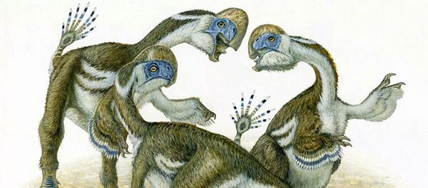 Так в представлении художника выглядел динозавр Oksoko avarsan - 俄罗斯卫星通讯社