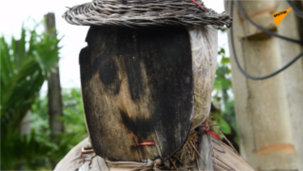 柬埔寨人用稻草人“吓跑”新冠病毒  - 俄罗斯卫星通讯社