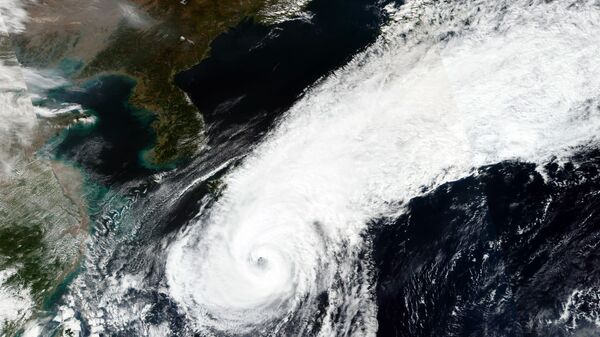 媒体：超强台风南玛都袭击日本840万人需要疏散 - 俄罗斯卫星通讯社