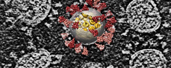 Наложение компьютерной реконструкции на изображение вирусов SARS-CoV-2 - 俄罗斯卫星通讯社