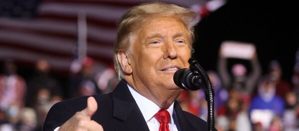 Американский президент Дональд Трамп Американский президент Дональд Трамп - 俄罗斯卫星通讯社