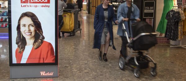 新西兰不会改变与中国发展经贸合作的政策 新西兰不会改变与中国发展经贸合作的政策 - 俄罗斯卫星通讯社