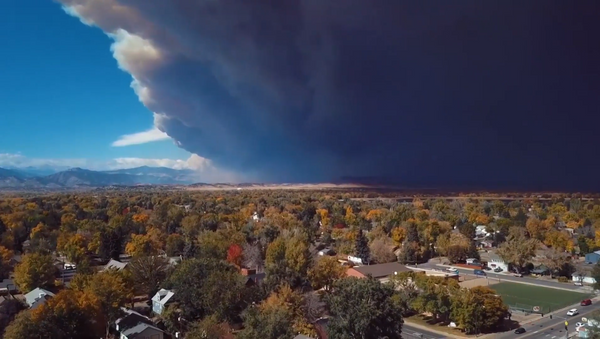美国森林火灾不停地燃烧 - 俄罗斯卫星通讯社