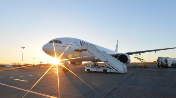 大雁撞碎加南大一航空公司波音客機駕駛艙玻璃 - 俄羅斯衛星通訊社