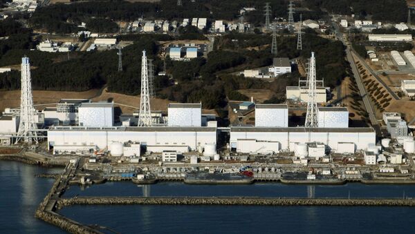АЭС Фукусима-1 - 俄罗斯卫星通讯社