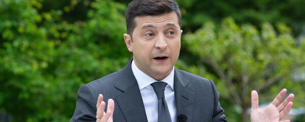 澤連斯基談烏克蘭和美國的“共同勝利” - 俄羅斯衛星通訊社