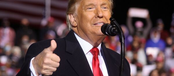 Президент США Дональд Трамп в Джонстауне, США - 俄罗斯卫星通讯社