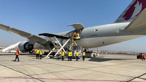 Гуманитарная помощь армянской общины США прибыла в Армению (19 октября 2020). Еревaн - 俄罗斯卫星通讯社
