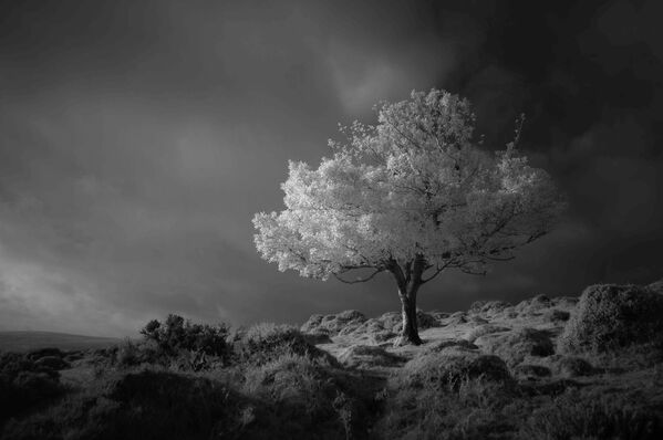 Снимок Fantasy фотографа Neil Burnell, победивший в категории Black and White конкурса Landscape Photographer of the Year 2020 - 俄羅斯衛星通訊社