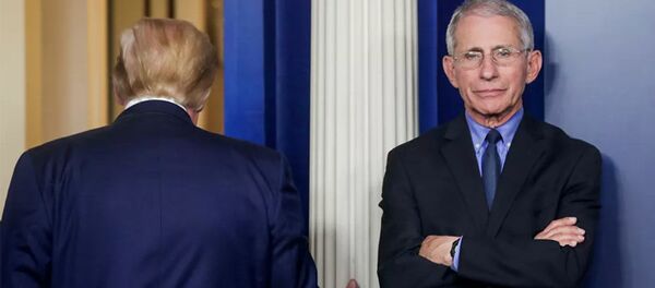 Дональд Трамп и доктор Энтони Фаучи - 俄羅斯衛星通訊社