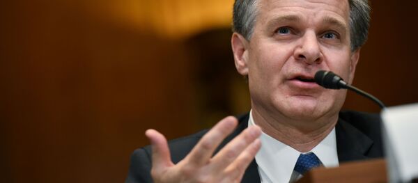 Директор Федерального бюро расследований Кристофер Рэй  - 俄罗斯卫星通讯社