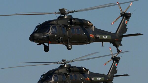 中国陆军直-20T亮相天津直博会 - 俄罗斯卫星通讯社