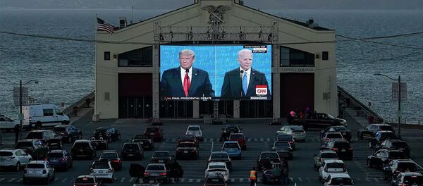 美專家列出將決定美國總統選舉結果的四個搖擺州 - 俄羅斯衛星通訊社