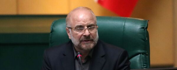 Председатель парламента Ирана Мохаммад-Багер Галибаф  - 俄罗斯卫星通讯社