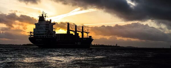 Грузовое судно - 俄罗斯卫星通讯社