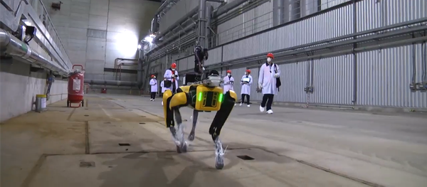 切尔诺贝利放机器狗“嗅”辐射 - 俄罗斯卫星通讯社