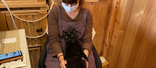 黑貓咖啡店 - 俄羅斯衛星通訊社