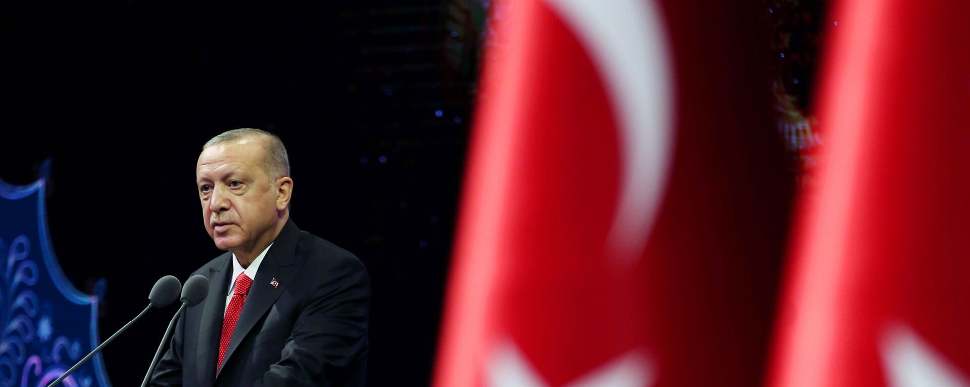Президент Турции Реджеп Тайип Эрдоган во время выступления в Анкаре, Турция  - 俄罗斯卫星通讯社, 1920, 08.06.2021
