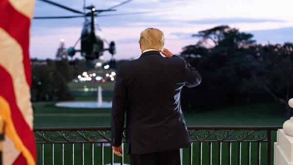 Дональд Трамп провожает взглядом президентский вертолет, Вашингтон, США - 俄羅斯衛星通訊社
