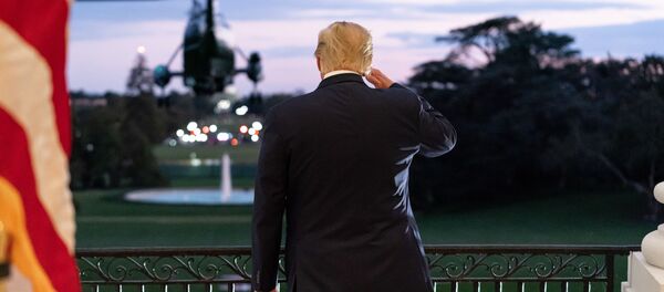 Дональд Трамп провожает взглядом президентский вертолет, Вашингтон, США Дональд Трамп провожает взглядом президентский вертолет, Вашингтон, США - 俄罗斯卫星通讯社