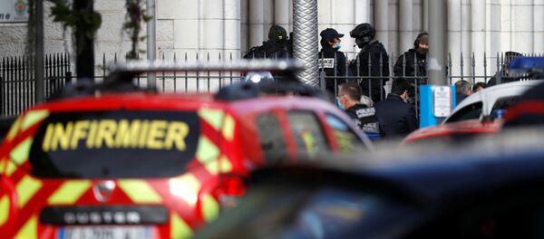 尼斯市长：圣母院附近袭击可能是恐怖袭击 - 俄罗斯卫星通讯社