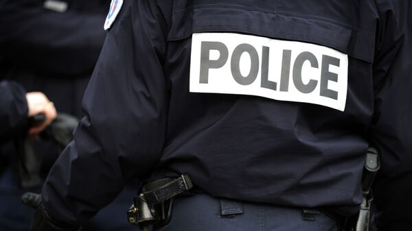 法国警察 - 俄罗斯卫星通讯社