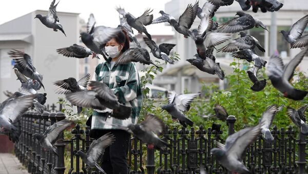 Девушка кормит голубей на улице Баумана в Казани - 俄罗斯卫星通讯社
