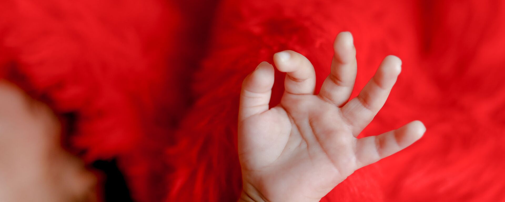 Рука младенца на красном фоне - 俄羅斯衛星通訊社, 1920, 27.09.2021