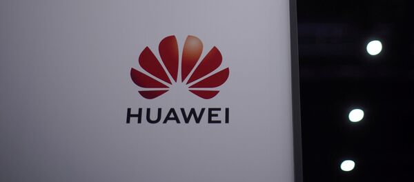 Логотип Huawei - 俄罗斯卫星通讯社