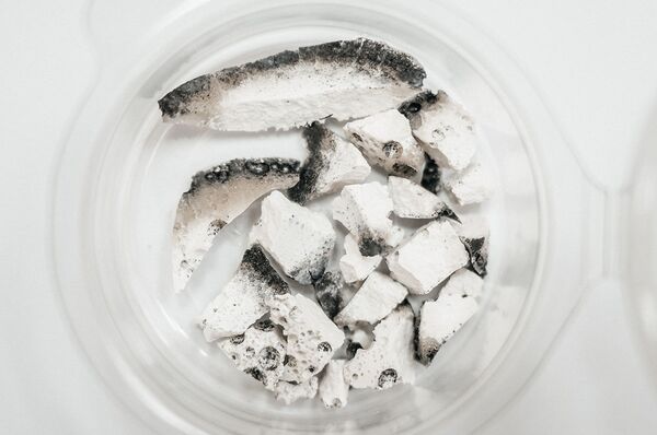 俄专家找到可替代煤的清洁燃料 俄专家找到可替代煤的清洁燃料 - 俄罗斯卫星通讯社