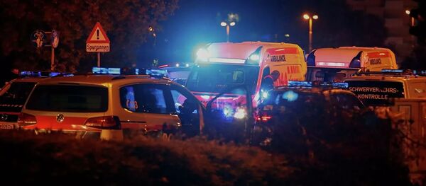 Полицейские на одной из улиц после теракта в Вене - 俄羅斯衛星通訊社