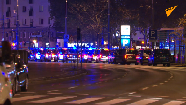 维也纳遭遇恐袭后特警上街巡逻 - 俄罗斯卫星通讯社