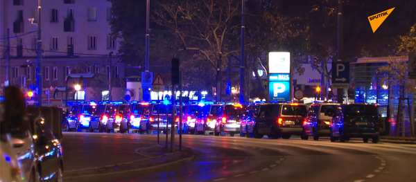 維也納遭遇恐襲後特警上街巡邏 - 俄羅斯衛星通訊社