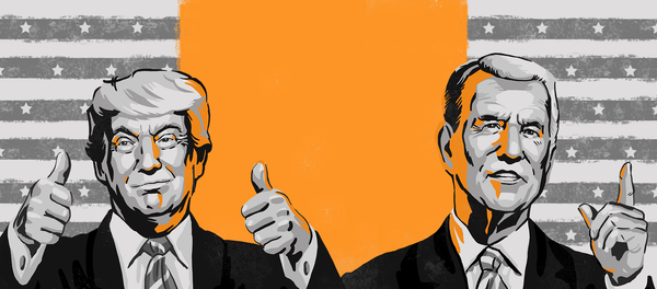 2020年美国大选 - 俄罗斯卫星通讯社