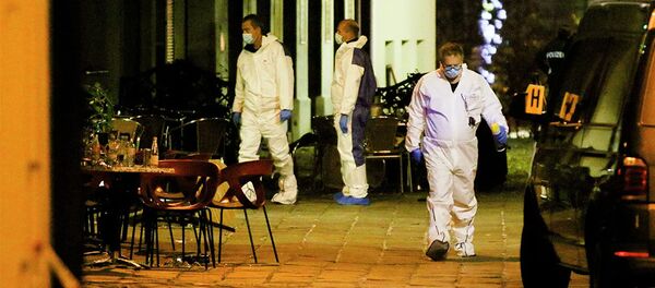 Сотрудники правоохранительных органов Австрии на месте стрельбы в Вене - 俄羅斯衛星通訊社