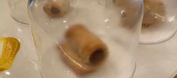 Журналисты рассказали, чем угощали гостей в Белом доме в ночь выборов - 俄罗斯卫星通讯社