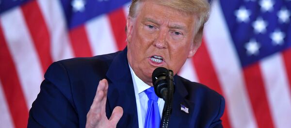 Президент США Дональд Трамп выступает в ночь выборов в Белом доме в Вашингтоне - 俄羅斯衛星通訊社