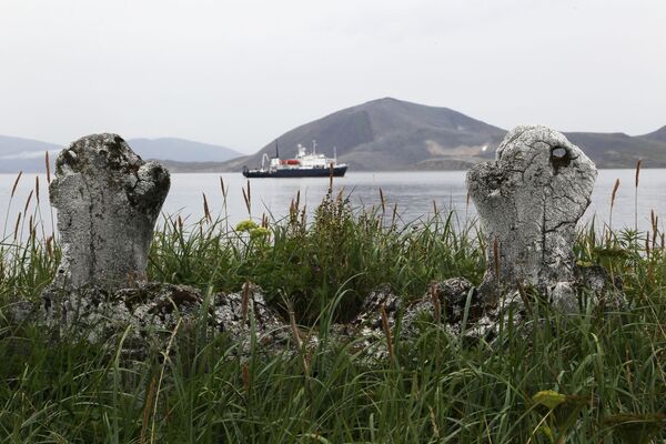 楚科奇自治区厄特格兰岛上古爱斯基摩人修建的鲸鱼林荫道 - 俄罗斯卫星通讯社