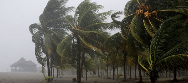 Ураган Эта - 俄羅斯衛星通訊社
