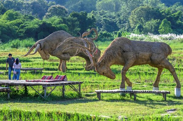 Фигуры из рисовой соломы в парке развлечений недалеко от города Чиангмай в Таиланде - 俄罗斯卫星通讯社