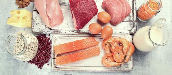 Еда с высоким содержанием белка - 俄罗斯卫星通讯社