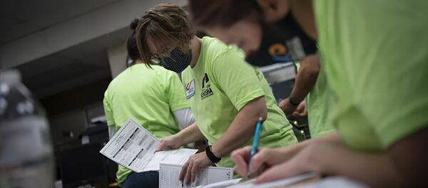 Подсчет голосов президентских выборов в США - 俄罗斯卫星通讯社