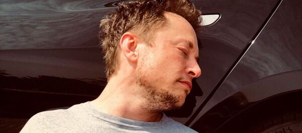 馬斯克玩笑成真 特斯拉開始賣酒 - 俄羅斯衛星通訊社