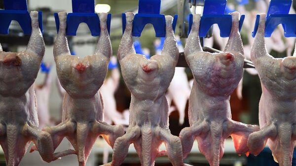 2022年俄羅斯對華禽肉出口額增長53% - 俄羅斯衛星通訊社