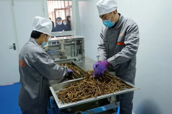 綏芬河自貿區三個俄羅斯產品重點項目集中開工 綏芬河自貿區三個俄羅斯產品重點項目集中開工 - 俄羅斯衛星通訊社